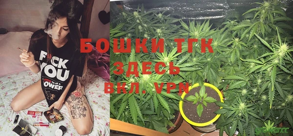 ПСИЛОЦИБИНОВЫЕ ГРИБЫ Балабаново