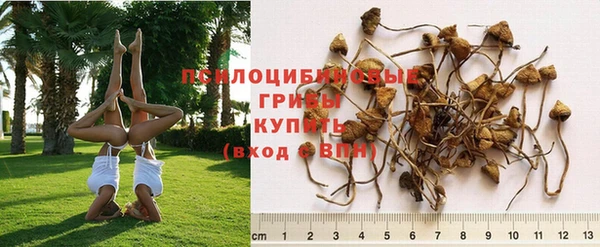 экстази Аркадак