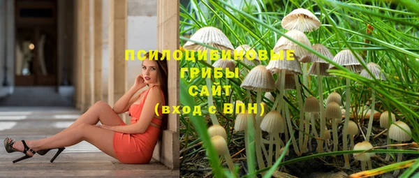ГАЛЛЮЦИНОГЕННЫЕ ГРИБЫ Алексин