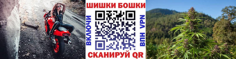 магазин  наркотиков  мега   Шишки марихуана планчик  Джанкой 